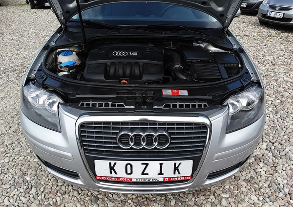 Audi A3 cena 19900 przebieg: 198203, rok produkcji 2005 z Mirsk małe 529